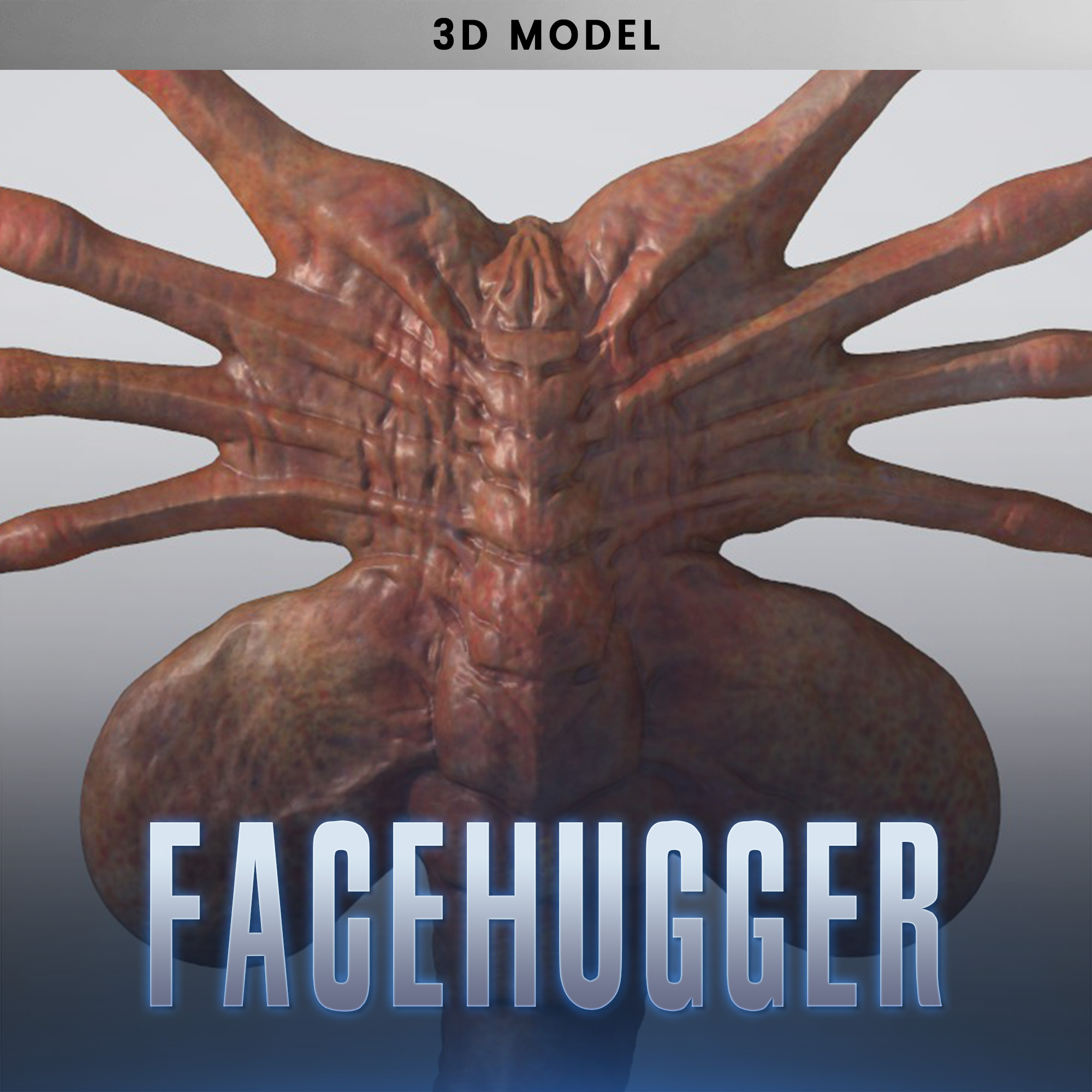 facehugger 3D Model