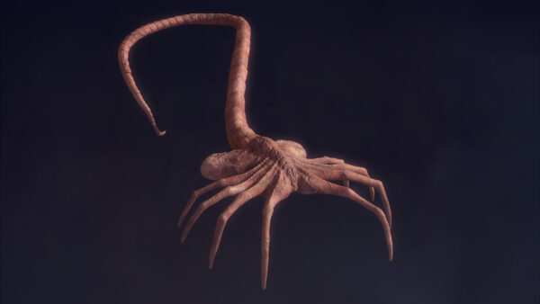 Facehuger - Sculpting & Texture Process - Imagem 2