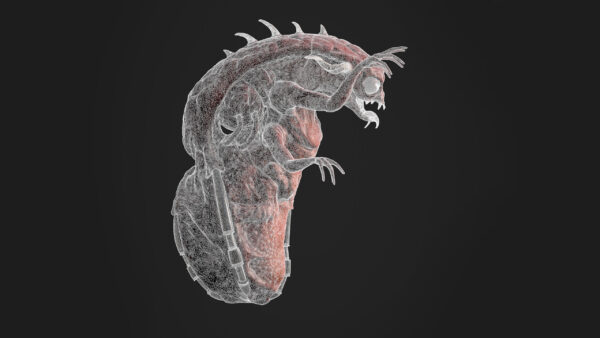 Mother Demon Redesign - 3D Model - Imagem 9