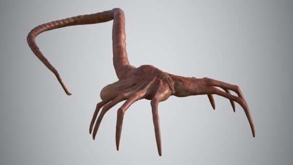facehugger 3D Model - Imagem 7