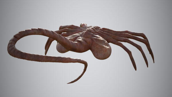 facehugger 3D Model - Imagem 6