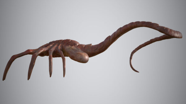 facehugger 3D Model - Imagem 4
