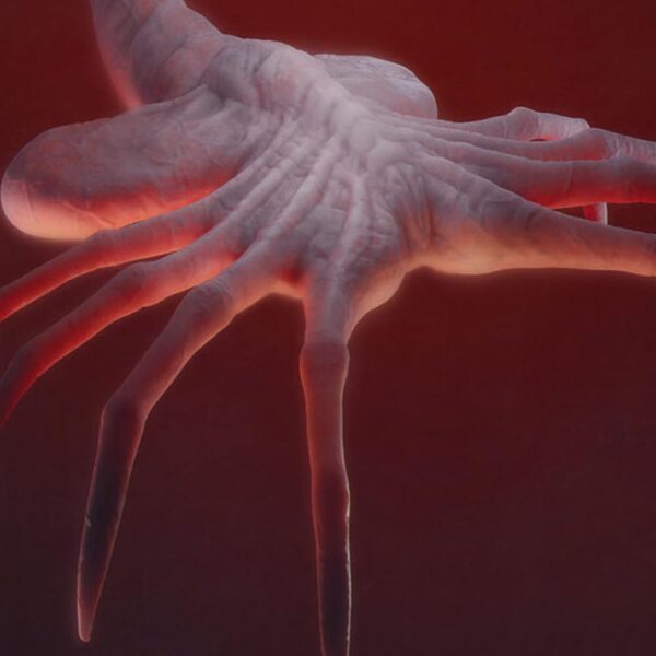 Facehugger - Processo - Image 4