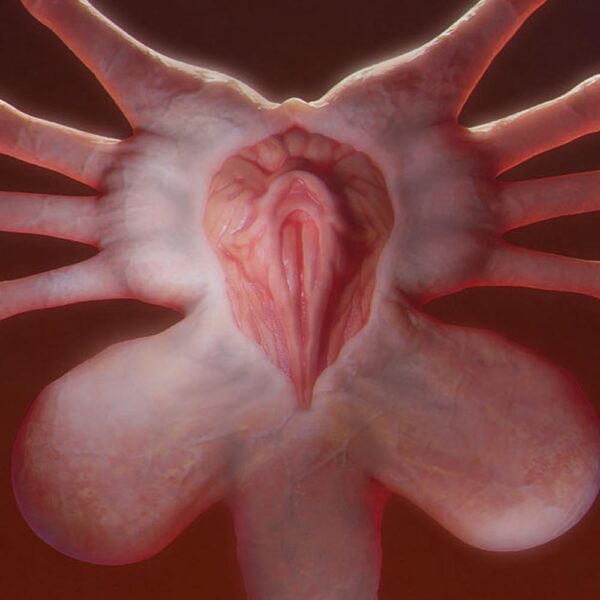 Facehugger - Processo - Image 2